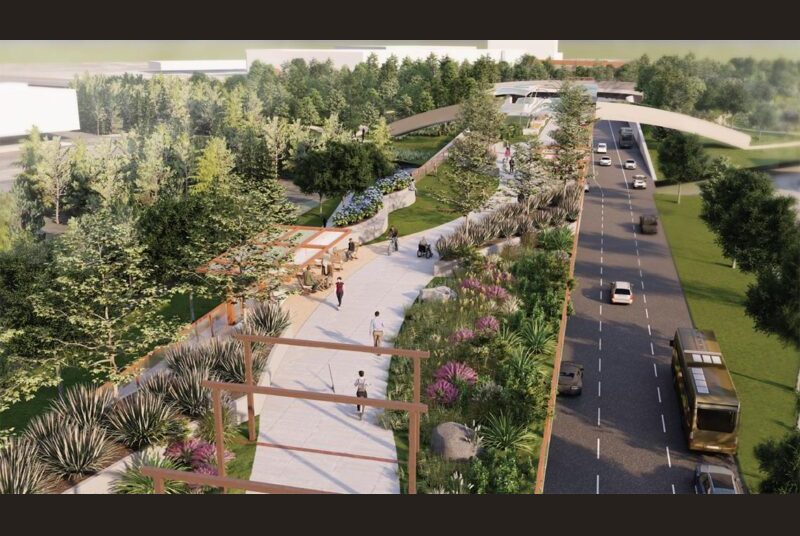 Rendering of area maximized for pedestrian and vehicle experience through diverse vegetation, paved paths, wheelchair accessibility, and navigable roadways