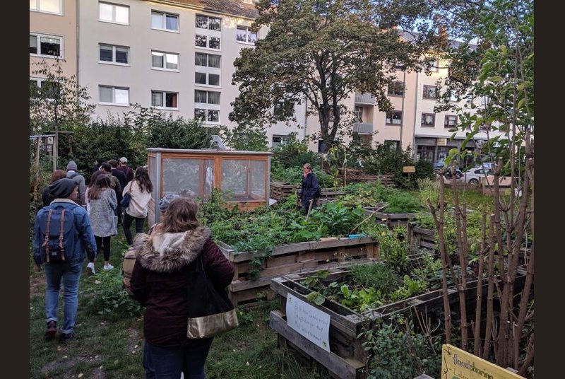 Students wearing jackets visit a small community vegetable garden across from an apartment complex