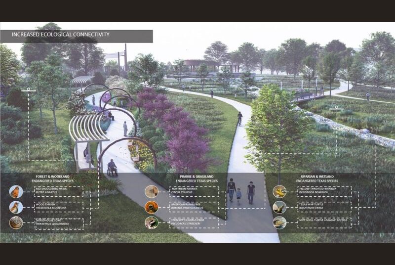 Park land showing increased ecological connectivity, including endangered bird, frogs and insects