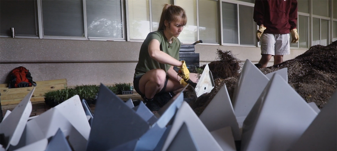 Student places plant in a piece of the living wall