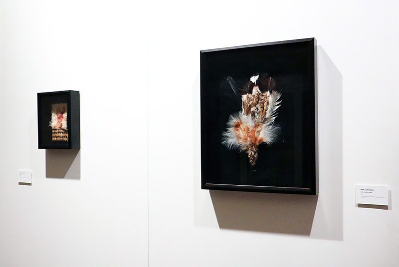 A view of both of Ann Johnson’s artworks encased in black shadow boxes.