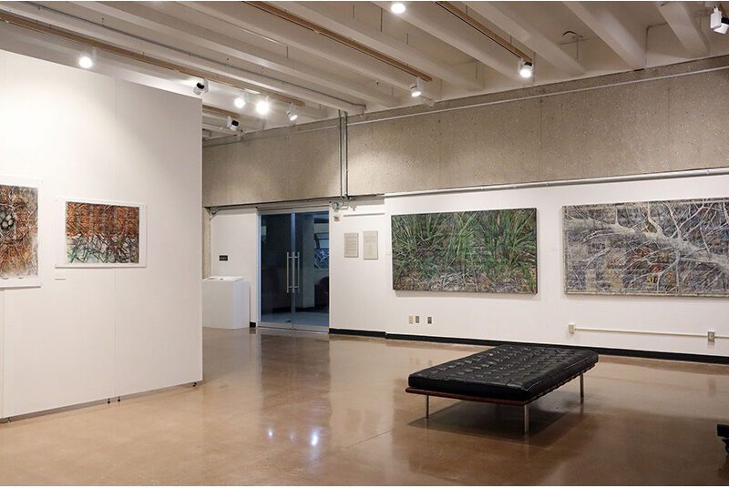A view of the Lamentations exhibition showing 2 medium sized drawings and 2 large drawings that cover most of the wall.