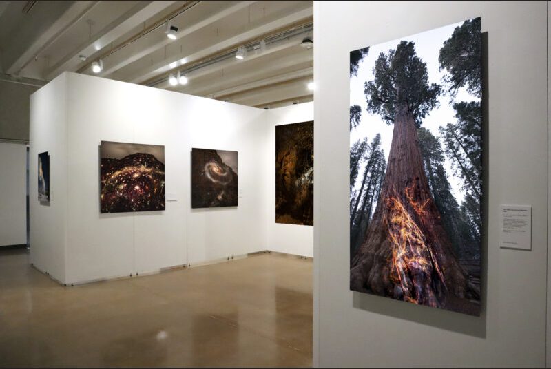 On the right, there is a photograph of a tree with nebula imagery projected on its trunk. In the background, there are 4 photographs installed on the gallery’s walls.