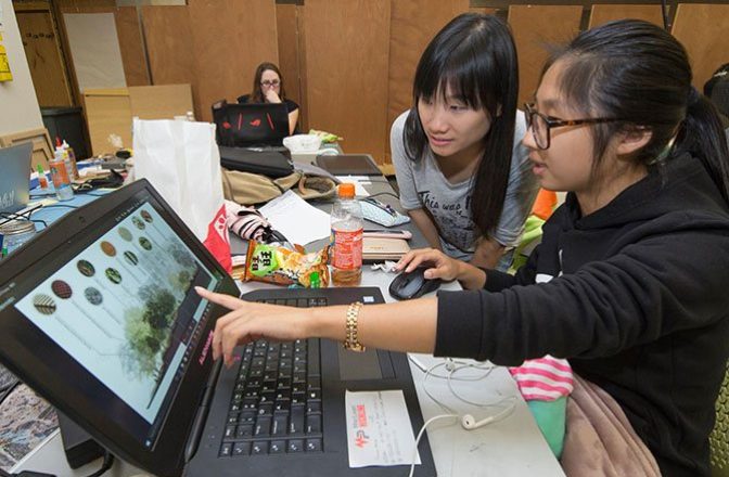 Two students view tree plans on a laptop